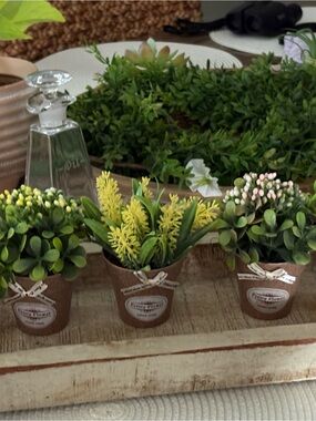 ZAKKA Home 5 Mini clay like flower plant pots